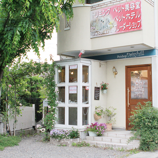 向日市のトリミングサロンです。只今初回10%割引中です トイプード...
