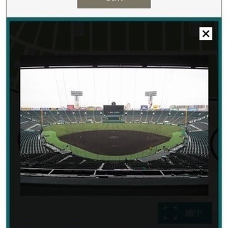 4/22 14:00試合開始 阪神vs巨人 グリーンシート 通路側連番ペア