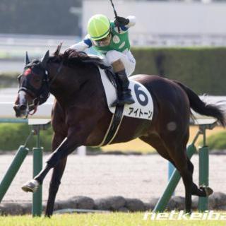 馬が可愛い！　馬好き！　競馬好きの方仲良くなりませんか？( ｀ー´)ノ - 友達