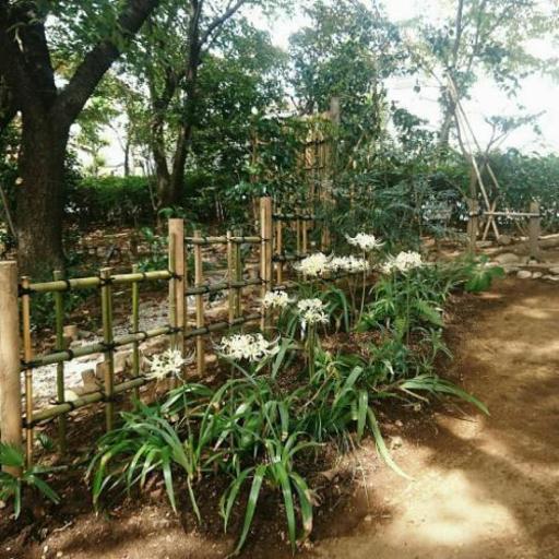 お庭のお掃除 雑草刈り 花壇造りなどお手伝いします Correspondence In English So Ojiji 小平の家事代行の無料広告 無料掲載の掲示板 ジモティー