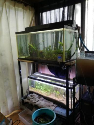 【配達可能】90cm水槽 水槽台 蛍光灯照明セット