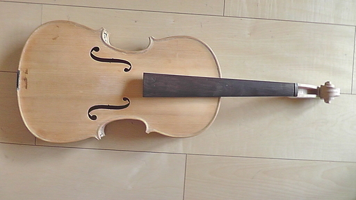 Decorative Viola white（装飾ヴィオラ）