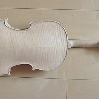 Decorative Viola white（装飾ヴィオラ）