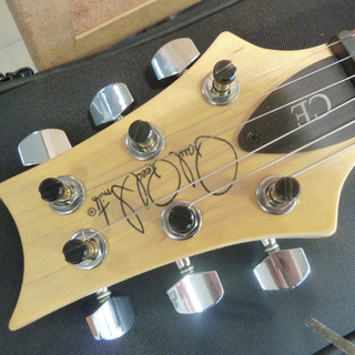 ★PRS/CE24 PEACOCK BLUE★エレキギター/Paul Reed Smith