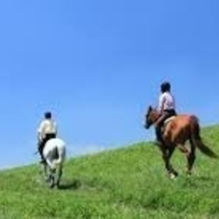 両備乗馬クラブでの乗馬体験🐎