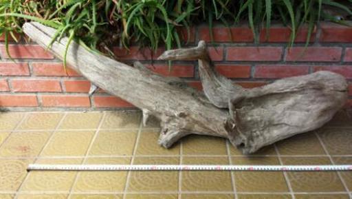 天然流木 特大サイズ Teardrop 小田原の家具の中古あげます 譲ります ジモティーで不用品の処分 天然流木 特大サイズ Teardrop 小田原の家具の中古あげます 譲ります ジモティーで不用品の処分