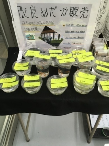 ダイキ上福岡店 産直市 だい 林道のその他の無料広告 無料掲載の掲示板 ジモティー ダイキ上福岡店 産直市 だい 林道のその他の無料広告 無料掲載の掲示板 ジモティー