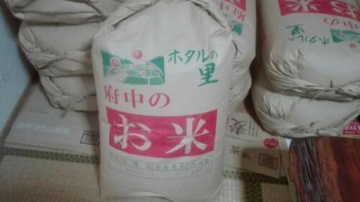 コシヒカリ玄米30ｷﾛ　令和元年度産