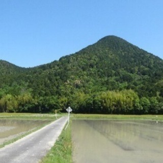 山登りしませんか？