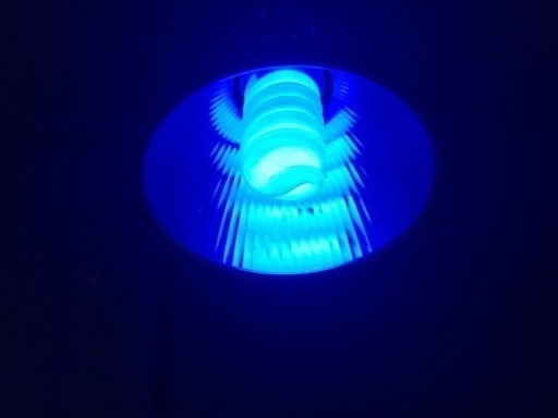 ヴォルテス30w   ブルー球 2つ #水槽#熱帯魚