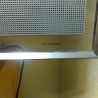 ソニーBRAVIA 日曜限定