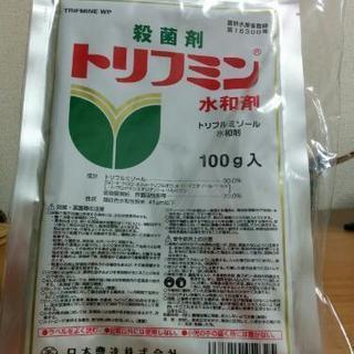 園芸 殺菌剤 トリフミン水和剤100g