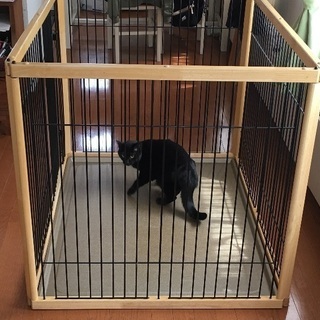 中型犬用 ウッドフレームゲージ