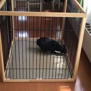 中型犬用 ウッドフレームゲージ