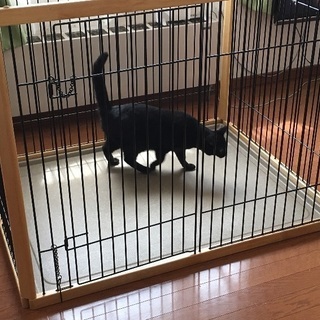 中型犬用 ウッドフレームゲージ