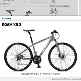 (値下げ) GIANT BICYCLE ROAM XR