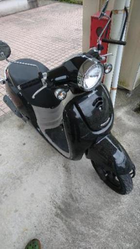 HONDA ジョルノ 自賠責2年