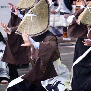 よさこい踊り子・振付師・インスト募集