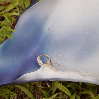 希少! CP9A アルミフロントフェンダー左右セット　ランエボ ５ ６　ジャンク