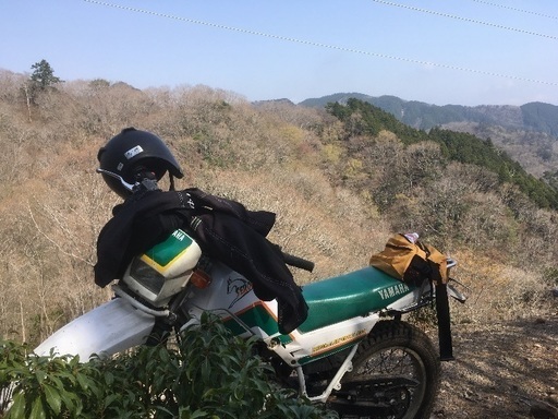 （動画あり！）(超絶値下げ！)セロー225  3rw4 山仕様 豪華おまけ多数