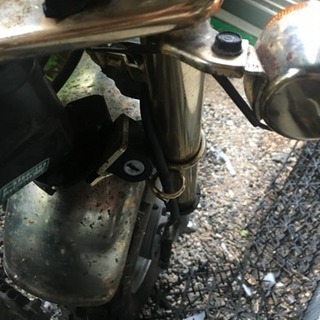 ゴールドモンキー 不動車 (Z50J) 当時5000台限定
