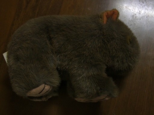 オーストラリアウォンバットぬいぐるみ ぱん 柏の生活雑貨の中古あげます 譲ります ジモティーで不用品の処分
