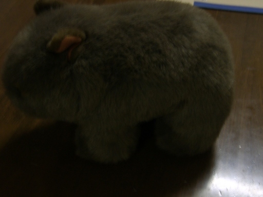 オーストラリアウォンバットぬいぐるみ ぱん 柏の生活雑貨の中古あげます 譲ります ジモティーで不用品の処分