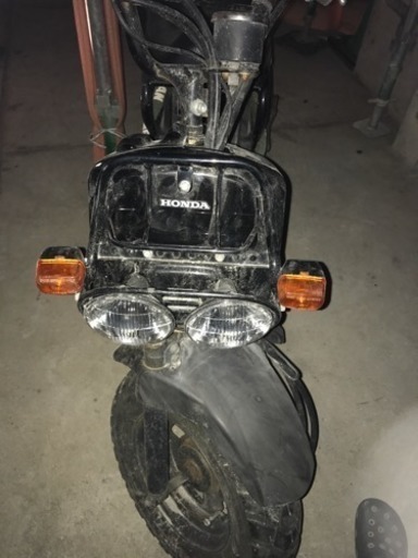 ホンダ ズーマー