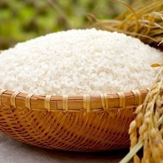 【玄米】米専用冷蔵庫保存