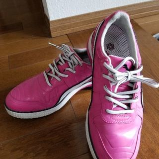 PUMA　ゴルフシューズ　24.5