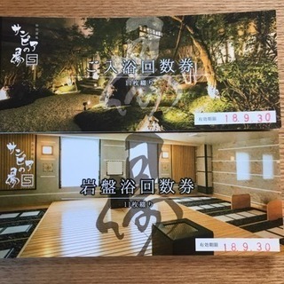 その他 ♨️サンピアの湯 回数券 入浴と岩盤浴セット 11回分