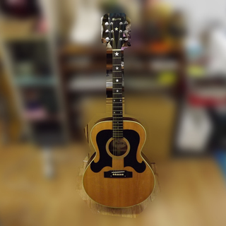 Morris WJ-25 アコースティックギター　髭ギター　札幌...