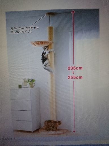 【猫用品】キャットタワー(PEPPY おうちで木登りタワー)