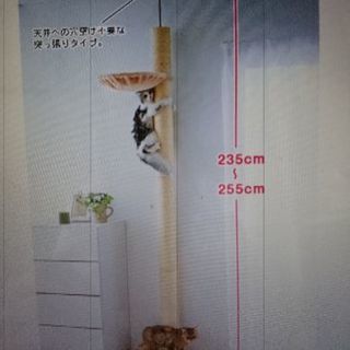【猫用品】キャットタワー(PEPPY おうちで木登りタワー)