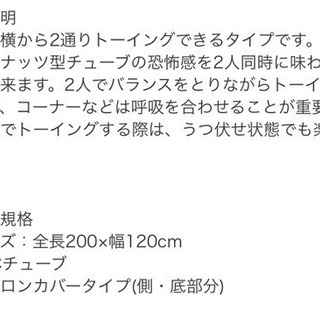 トーイングチューブ バナナボート 2人乗り