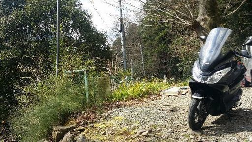 PCX JF56 (同程度のMTバイクと交換希望)