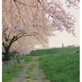 写真が好きの友達が欲しい - 友達