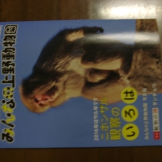 みんなの上野動物園　VOL51 	