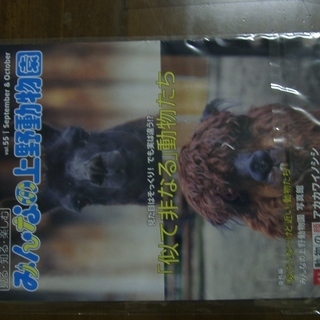 みんなの上野動物園　ラマ.アルパカ表紙