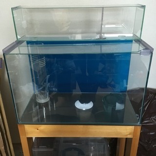 オーバーフロー水槽 60cm 3段仕様 | odysseype.com.au