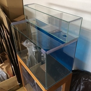 オーバーフロー水槽 60cm 3段仕様