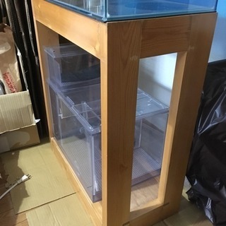 オーバーフロー水槽 60cm 3段仕様