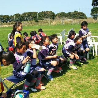 女子だけのサッカーチーム　SEフィリアフットボールクラブ - スポーツ