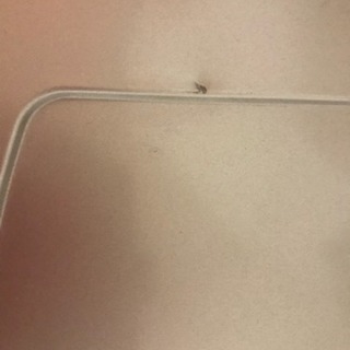 早い物勝ち💕最終値下げ‼️‼️美品 サンポット 石油ストー