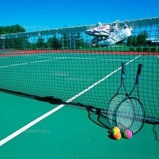 ✨   テニスメンバー募集  ✨