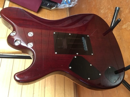 Sugi DS496 極上トーン!! 小売業者 