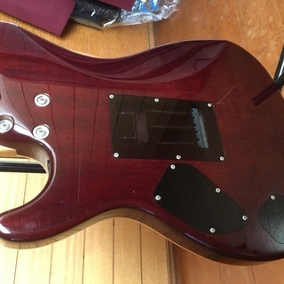 Sugi DS496 極上トーン!!