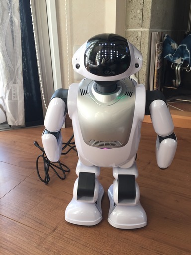 Palmi（パルミー）二足歩行コミュニケーションロボット