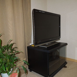 国内最安値! #7102 液晶テレビ ハイセンス 32A45G TH 32型液晶テレビ