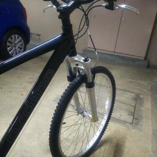 ブリヂストン オルディナM3 